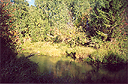 Click on the image to enlarge (43.7 kB)